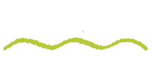 Personal Pilates + Logo